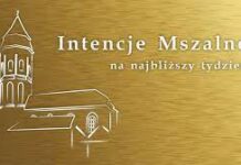 XXXII Niedziela Zwykła (12 listopada 2023 r.)