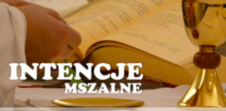XX Niedziela Zwykła (16 sierpnia 2026 r.)