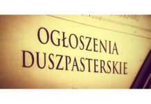 XVII Niedziela Zwykła (30 lipca 2023 r.)