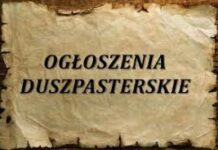 XXVII Niedziela Zwykła (8 października 2023 r.)