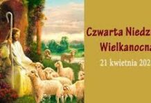 IV Niedziela Wielkanocy (21 kwietnia 2024 r.)