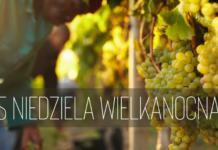 V Niedziela Wielkanocy (28 kwietnia 2024 r.)