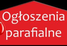 XXV Niedziela Zwykła (22 września 2024 r.)