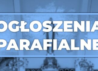 XVI NIEDZIELA ZWYKŁA